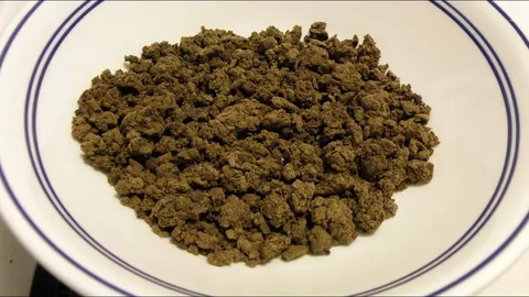 Bubble Gum Hash: A Sweet and Nostalgic Cannabis Concentrate in Canada